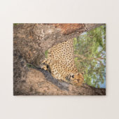 Cheetah in Tree Puzzle Legpuzzel (Horizontaal)