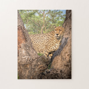 Cheetah in Tree Puzzle Legpuzzel