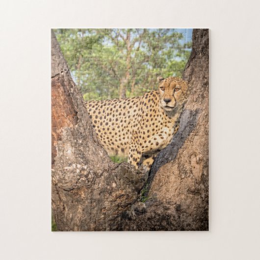 Cheetah in Tree Puzzle Legpuzzel (Verticaal)