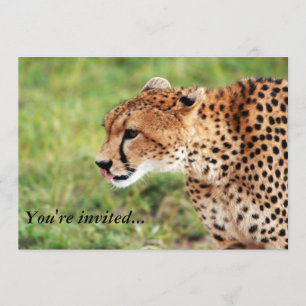 Cheetah Invitation Card Kaart
