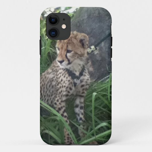 Cheetah iPhone case (Achterkant)