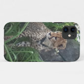 Cheetah iPhone case (Achterkant (horizontaal))
