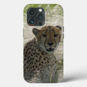 Cheetah iPhone / coque ipad (Verso)
