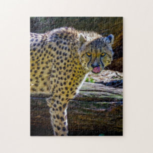 Cheetah Jigzaag Puzzle Legpuzzel