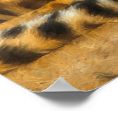 CHEETAH JUST CHILLIN POSTER (Hoek)