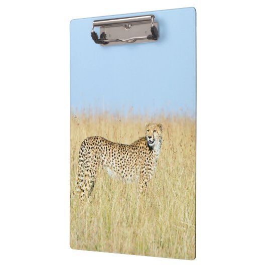 Cheetah Klembord (Links)