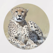 Cheetah Labels (Design 1)