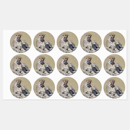 Cheetah Labels (Vel)