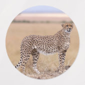 Cheetah Labels (Design 1)