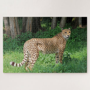 Cheetah Legpuzzel