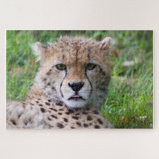 Cheetah Legpuzzel (Horizontaal)