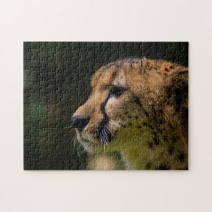 Cheetah Legpuzzel