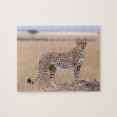 Cheetah Legpuzzel (Horizontaal)