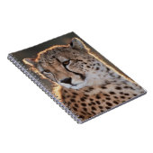 Cheetah looking away notitieboek (Rechterzijde)