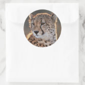 Cheetah looking away ronde sticker (Tas)