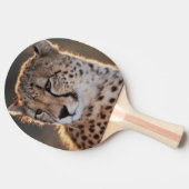 Cheetah looking away tafeltennisbatje (Zijkant)