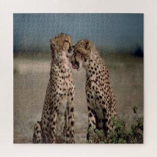 Cheetah Love Legpuzzel