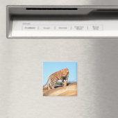 Cheetah Magneet (Insitu (Vaatwasser))
