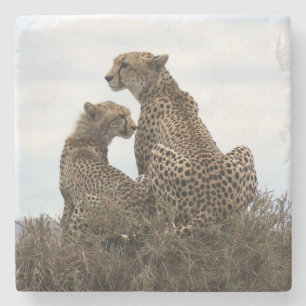 Cheetah Mam and Cub (volledige kleur) SteeneenOnde Stenen Onderzetter