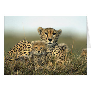 Cheetah Mam en Keuk Card