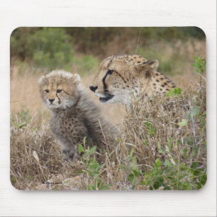 Cheetah Moeder en Cub Muismat