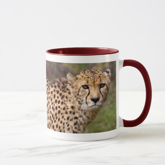 Cheetah Mok (Rechts)