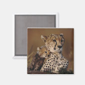 Cheetah Mother and Cub Magnet (Recto/Verso)