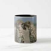 Cheetah Mug (Centre)
