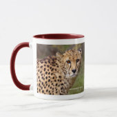 Cheetah Mug (Gauche)