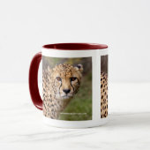 Cheetah Mug (Devant gauche)