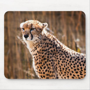 Cheetah Muismat