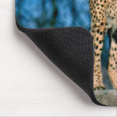 Cheetah Muismat (Hoek)