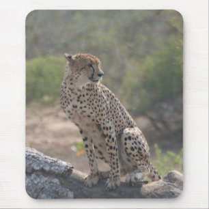 Cheetah Muismat