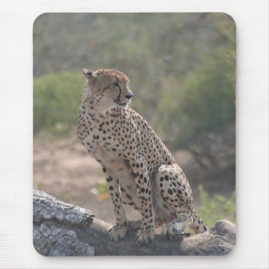 Cheetah Muismat (Voorkant)