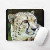 cheetah muismat (Met muis)