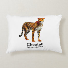 Cheetah op een witte achtergrond accent kussen