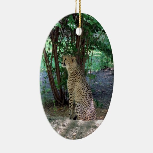 Cheetah Ornament ~ Endangered Species Series (Rechts)