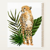 Cheetah Outlook (Dos)
