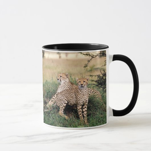 Cheetah Pair Mok (Rechts)