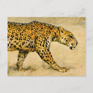Cheetah  pasteltekening briefkaart