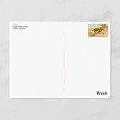 Cheetah pasteltekening briefkaart (Achterkant)