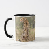 Cheetah personaliseer de naam Black Interior Gift  Mok (Links)