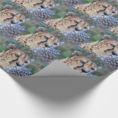 Cheetah Photo Cadeaupapier (Hoek)