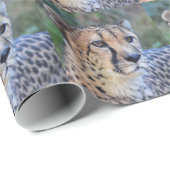 Cheetah Photo Cadeaupapier (Rol Hoek)