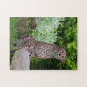 Cheetah Photo Puzzle (Horizontal)