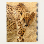 Cheetah Planner (Achterkant)