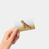 Cheetah Portrait Badge (Handheld)