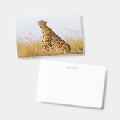 Cheetah Portrait Badge (Voor- en achterkant)