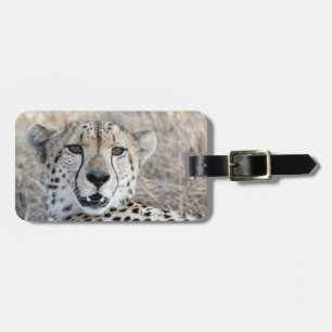 Cheetah Portrait Bagagelabel