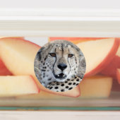 Cheetah Portrait Labels (Aangebracht)
